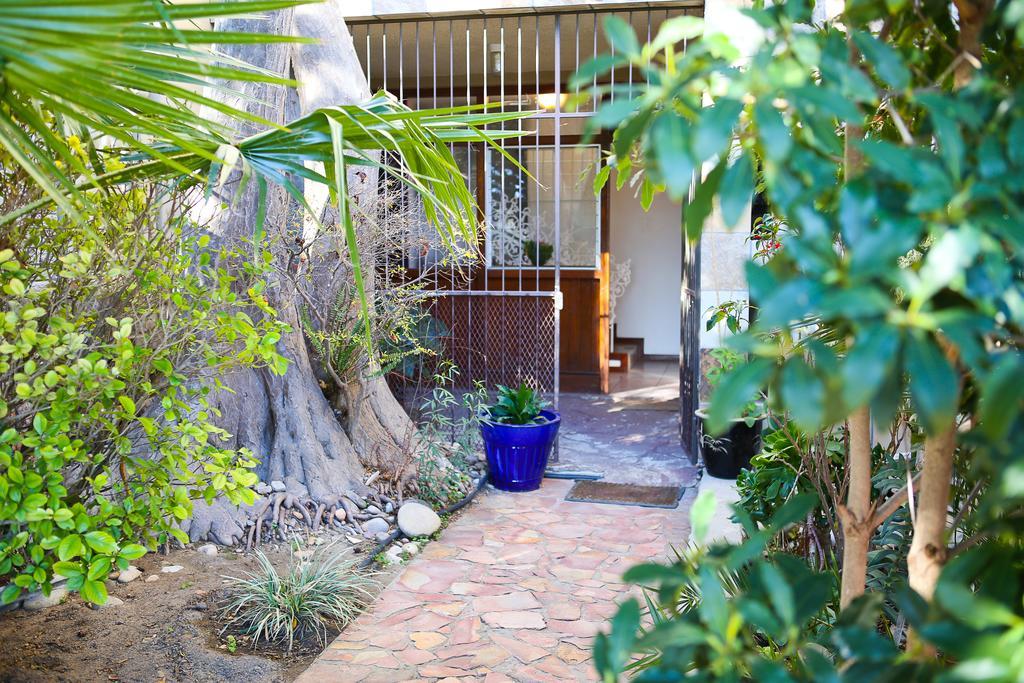 Oudtshoorn Homestay Accommodation Exterior foto